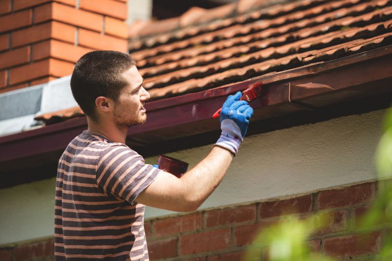 Shed Painting Service in Fort Collins, CO
