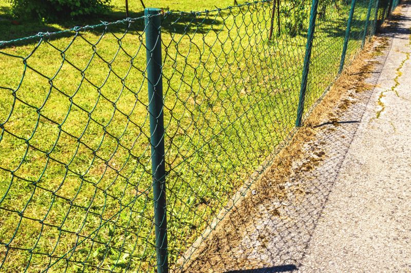 Wire Fence Painting in Waco, TX